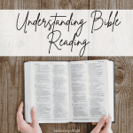 bible reading plan for beginners